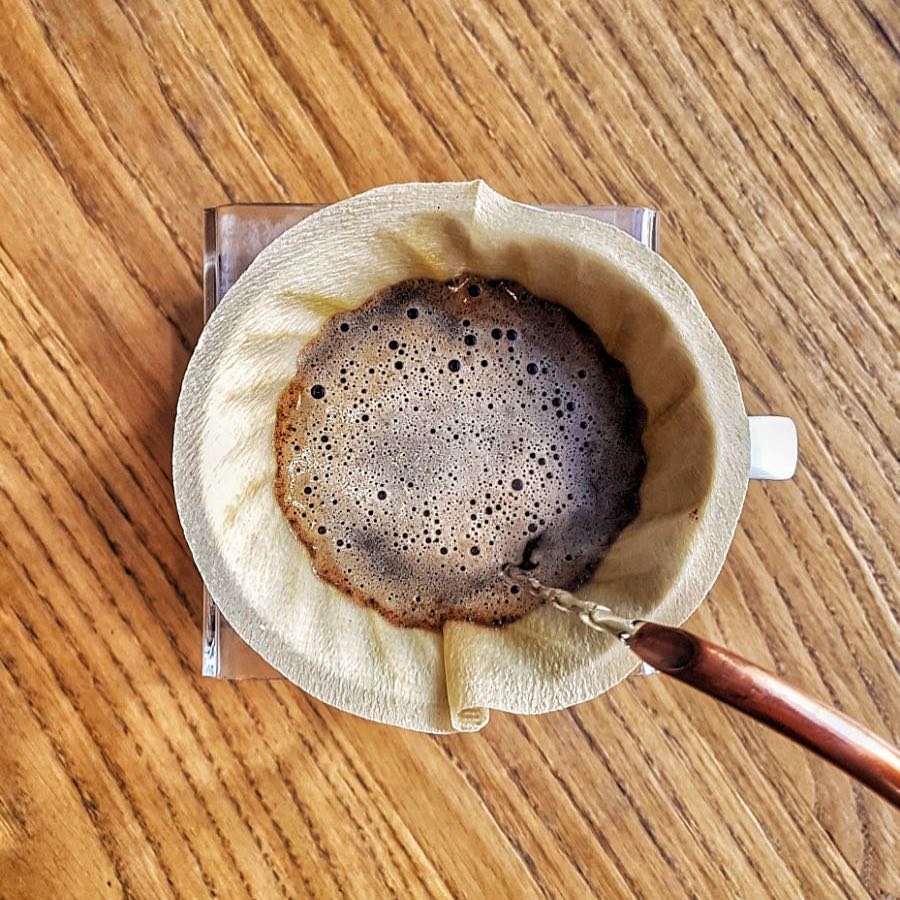 sholitsa-za-dug-zhivot