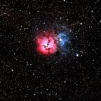 Milos-Gagic-1