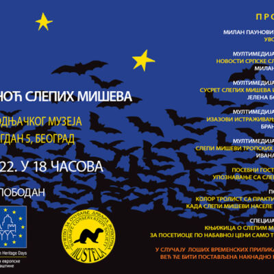 Pozivnica_22-Noc-slepih-miseva