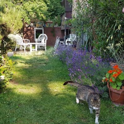 b47093c9e8ae5d5ab6f2bfab8c5d3847_4382556634