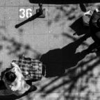 foto-Grebo-Gray