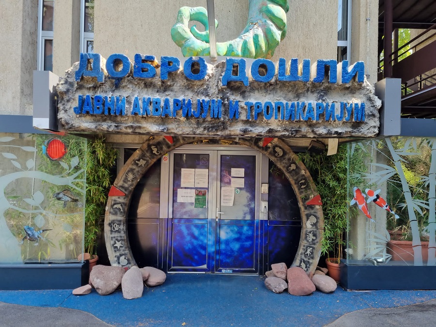 temperamentni-morski-stanovnitsi-na-d