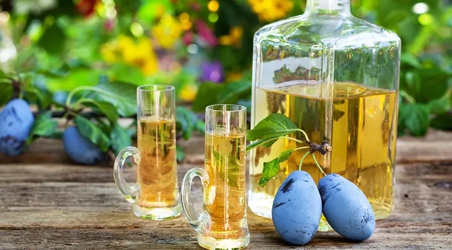 od-autohtone-sljive-do-casica-iz-kojih-se-pije