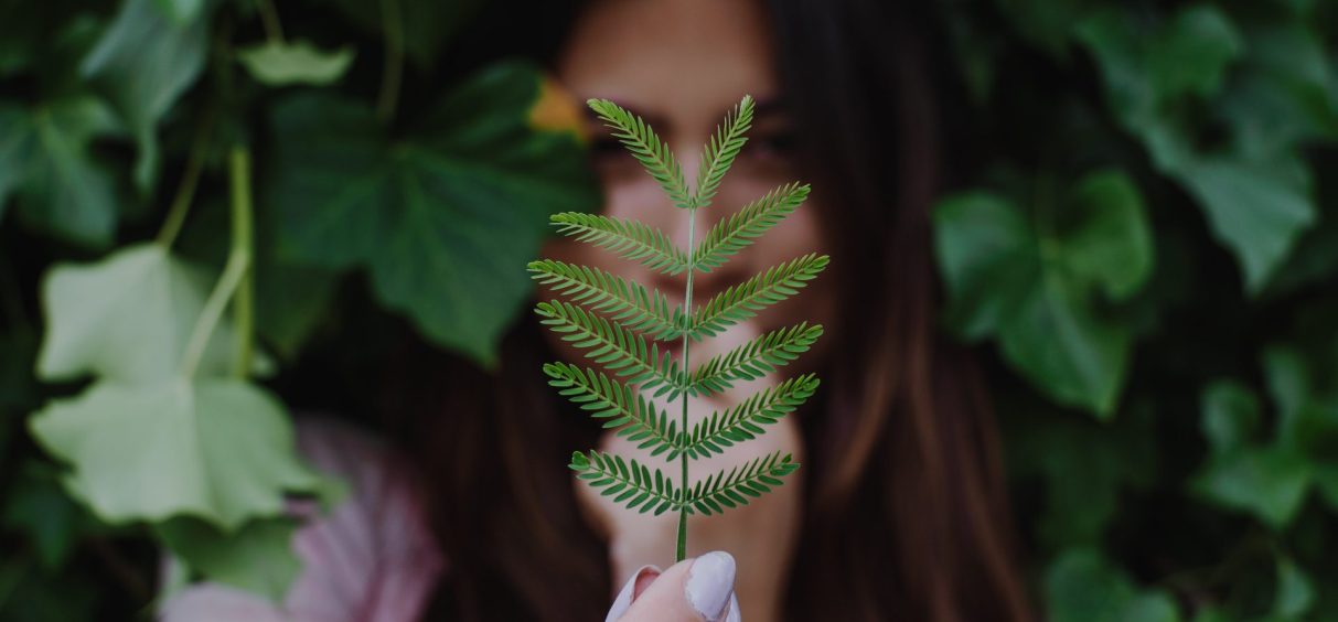 otvoren-filmski-konkurs-za-green-fest-2022