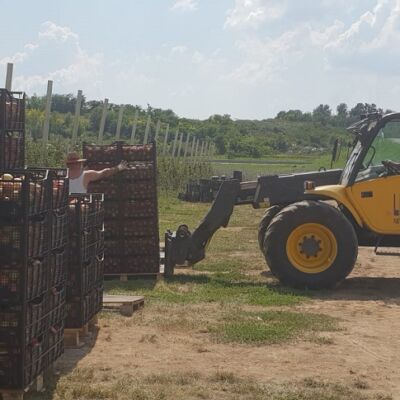 viber_image_2021-03-09_19-31-49