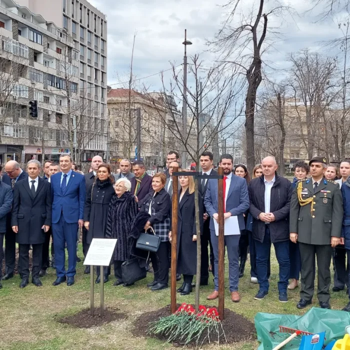 IMG_20230309_132955_138