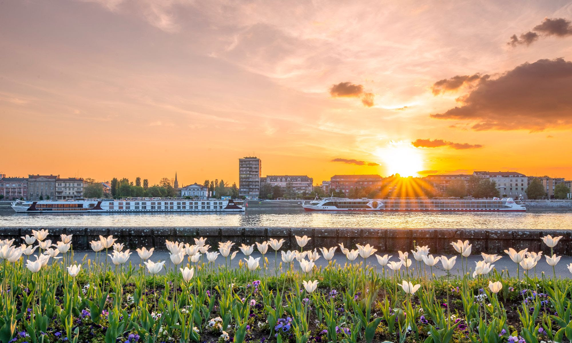 docek-prvog-recnog-kruzera-u-2023-novi-sad