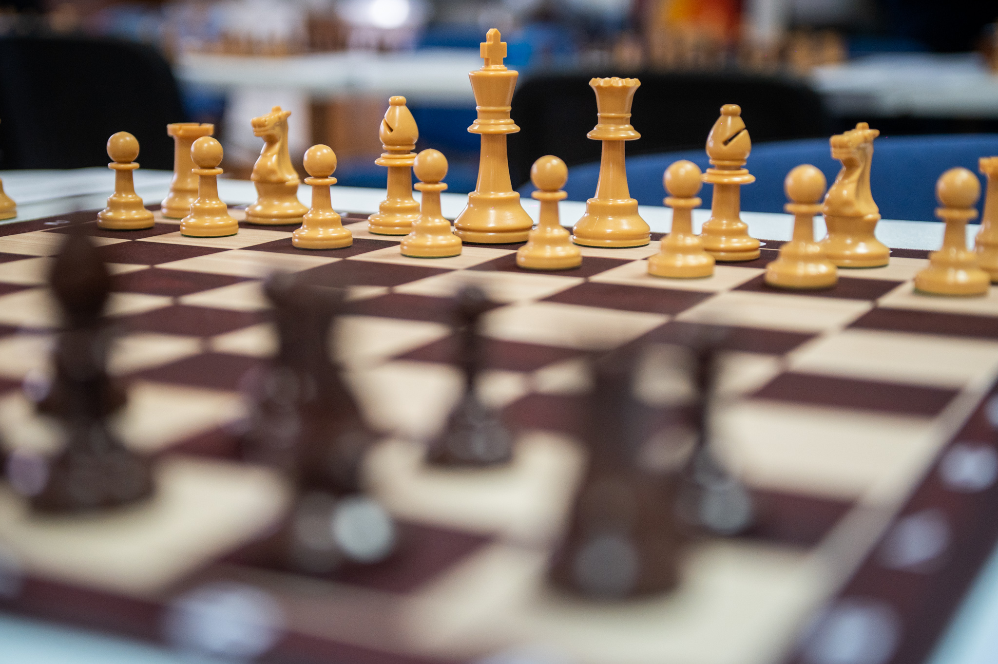 37-medjunarodno-otvoreno-prvenstvo-beograda-u-sahu