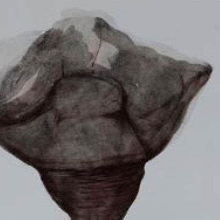 Ана Радуловић, Медни стомак, комбинована техника на папиру, 31,6x22,6 цм, 2019
