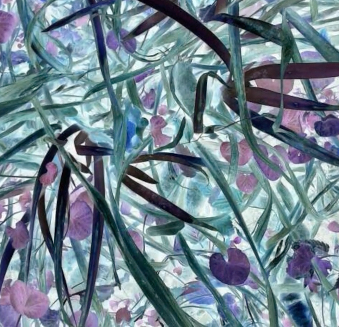 Popov-Four_Seasons_II-video_still (1)