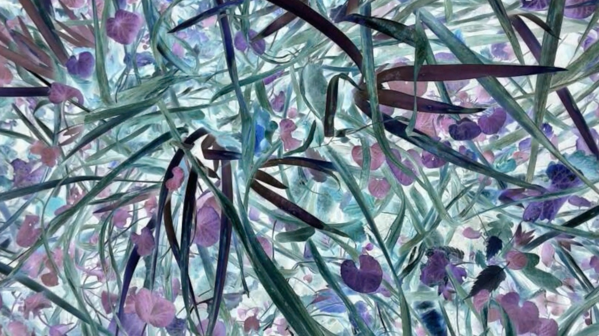 izlozba-cetiri-godisnja-doba-milene-popov-nene