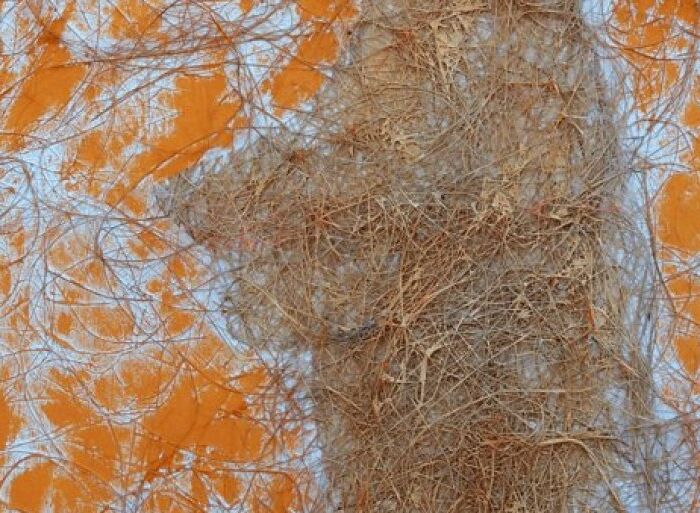 386136_naslovna-za-rusine_f