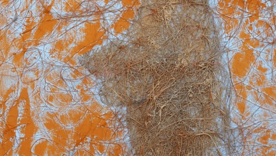 poetsko-vece-i-izlozba-slika-vlade-njaradija-u-novom-sadu