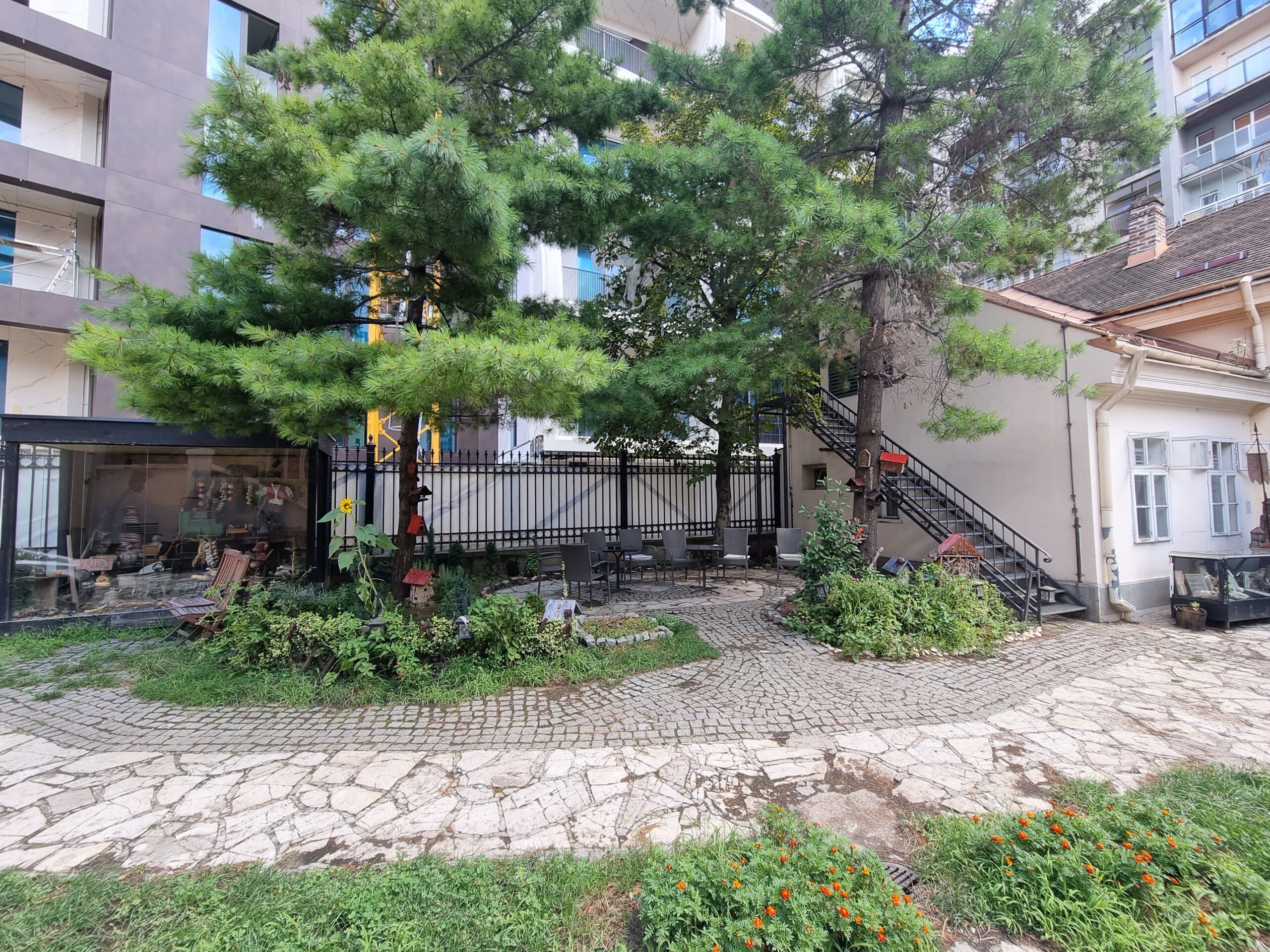 od-prvih-manastirskih-skola-do-skamija-iz-19-veka