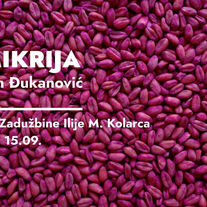 Mimikrija, Bogdan Đukanović (1)