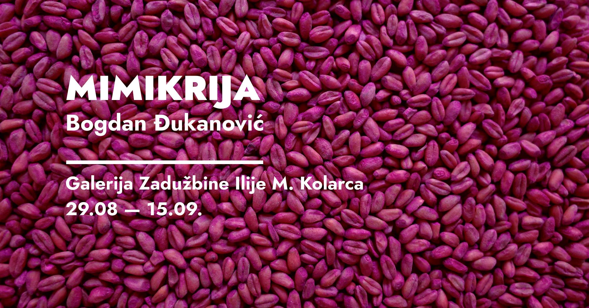 otvaranje-izlozbe-bogdana-djukanovica-u-likovnoj-galeriji-kolarca