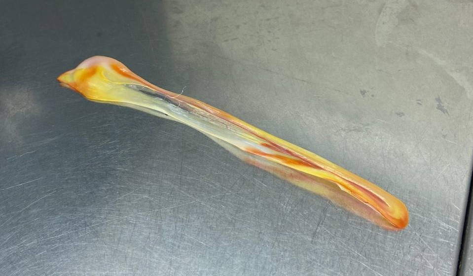 otvaranje-izlozbe-neka-druga-mesta