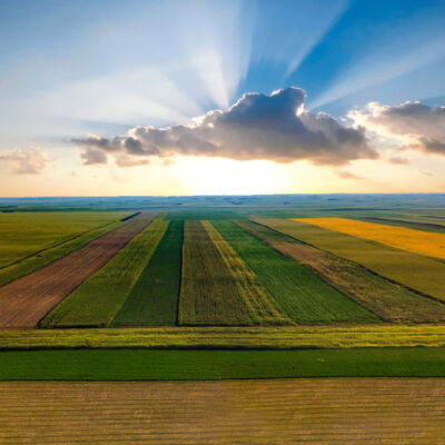 Becej okolina foto Aleksandar Milutinović