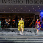 rsz_aleksic_srdjan_sfw_print_0113