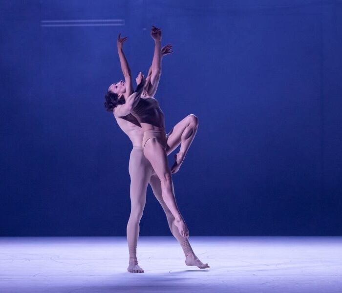 A SDC ab_intra_180511_0720_hires_byPedroGreig