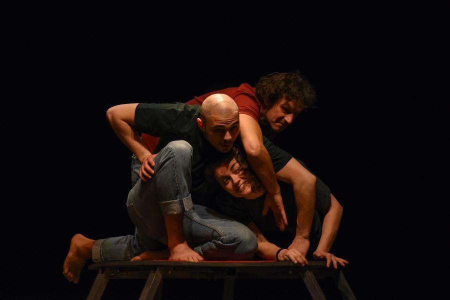 premijera-predstave-cirkusfere-lo-ptice-u-malom-pozoristu-dusko-radovic