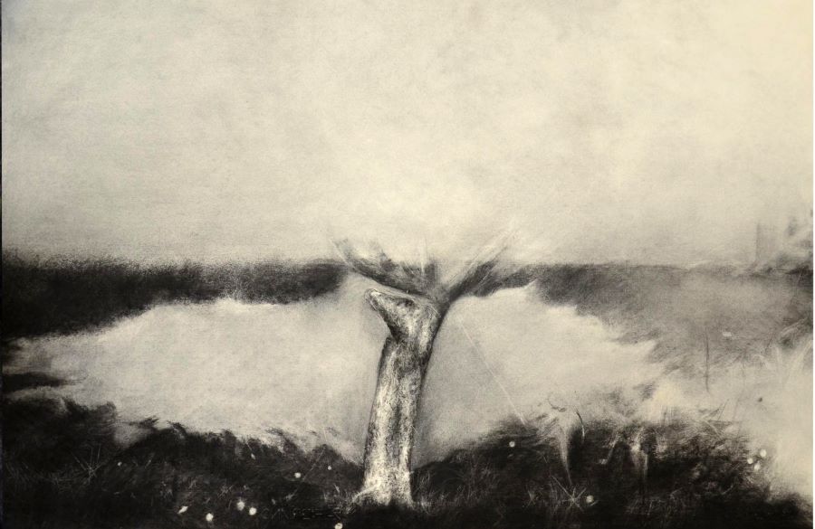 otvaranje-izlozbe-marije-sojulic