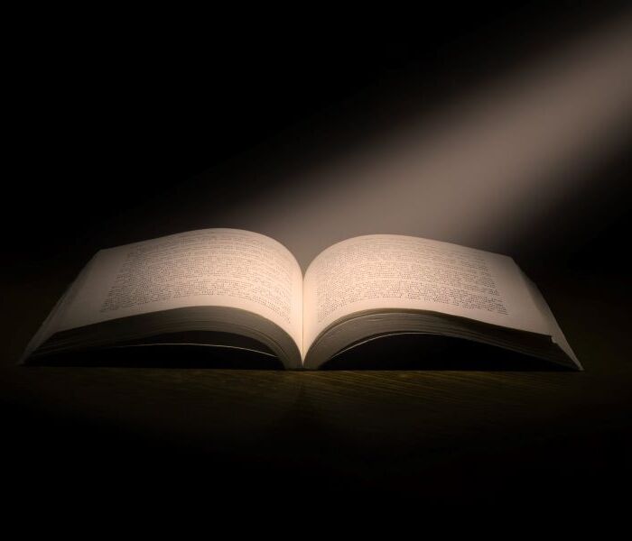 pexels-nitin-arya-1029141