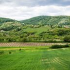 Fruska gora FOTO Aleksandar Milutnovic (1)