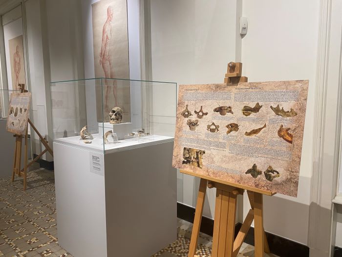 mracne-tajne-starog-rima